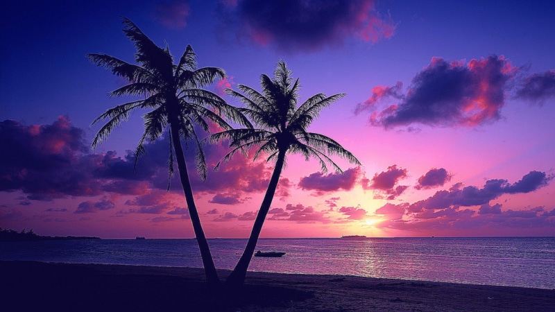 idyllic, season, 1080P, sunset, sun, coconut palm tree, outdoors, palm tree, scene, light, color, tranquility, coast, cloudy, scenics - nature, tree, ocean