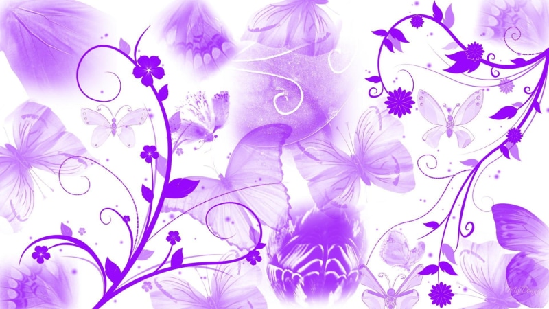 3d and abstract, soft, flowers, abstract, butterfly, firefox persona, white, 1080P, widescreen, purple, butterflies