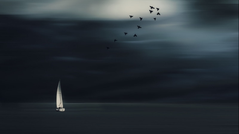 flock of birds, transportation, 1080P, animal wildlife, animal themes, mode of transportation, nature, sailing ship, bird, horizon, cloud - sky, white