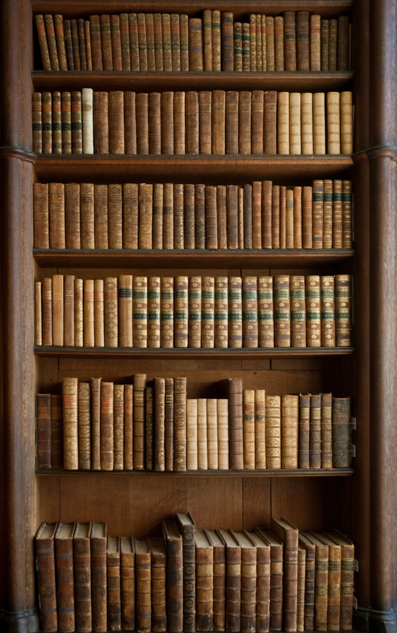 shelf, hardcover Book, in a row, historical, norfolk, container, arrangement, abundance, still life, wicker, education, book Spine, antique, books, bookshelf