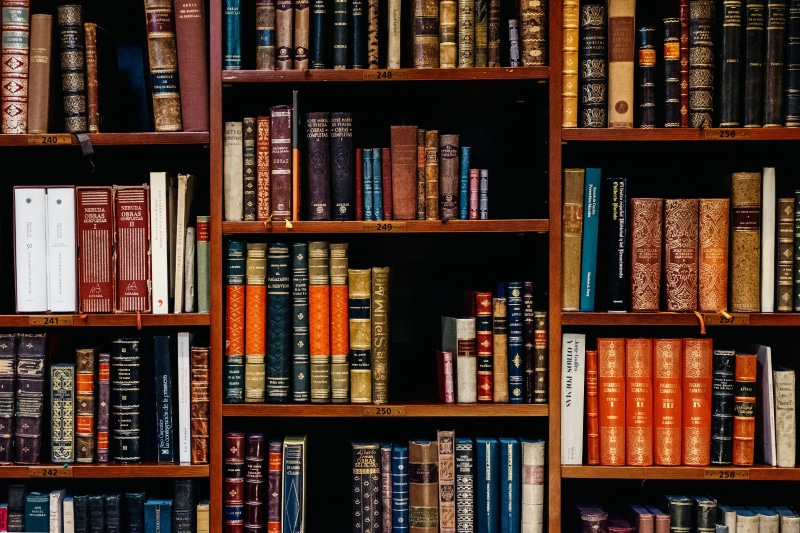 literature, arrangement, shelves, wooden, library, stack, assorted, choice, title, shelf, large group of objects, 4K, piled, lot, publication, variation