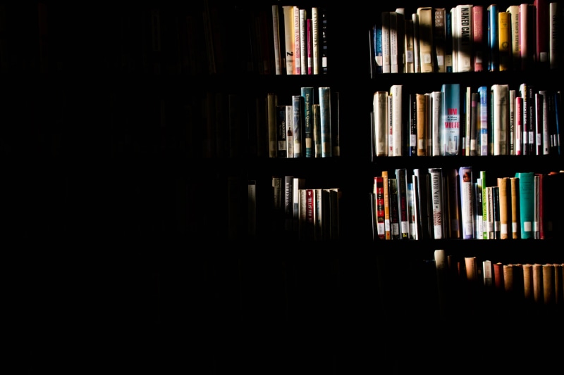 shelves, library, bookshelf, sunlight, in a row, choice, variation, education, arrangement, close-up, shadow, collection, dark, 5K, books, abundance, black background