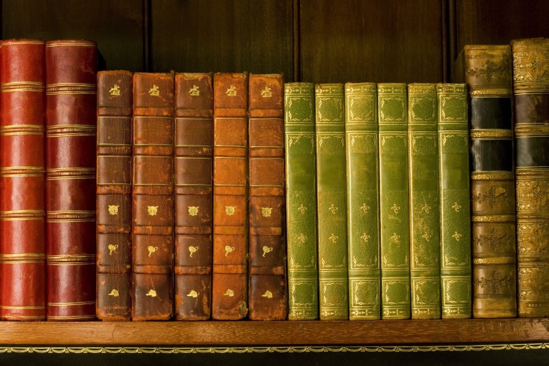 shelf, book, indoors, shelves, bookshelf, old, side by side, no people, books, learning, leather, history, literature, library, studying, lot, 2K, assorted