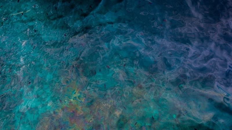 painitng, sea, motion, outdoors, waterfront, water, close-up, no people, school of fish, pollution, abstract, blue, indoors, nature, environment, day, fish