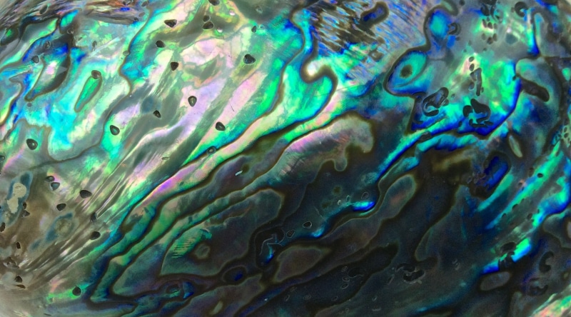 pollution, oil spill, rippled, green, abstract painting, day, closeup, shell, colorful, bubble, mixing, macro, science, close-up, textured, 2K, reflection