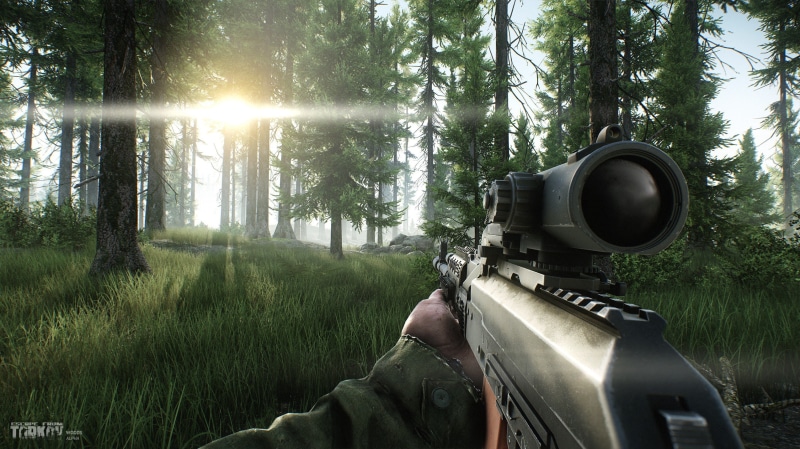 first-person shooter, one person, video games, woodland, tree, Escape from Tarkov, forest, growth, gun, green color, day, 1080P, plant, nature, War Game