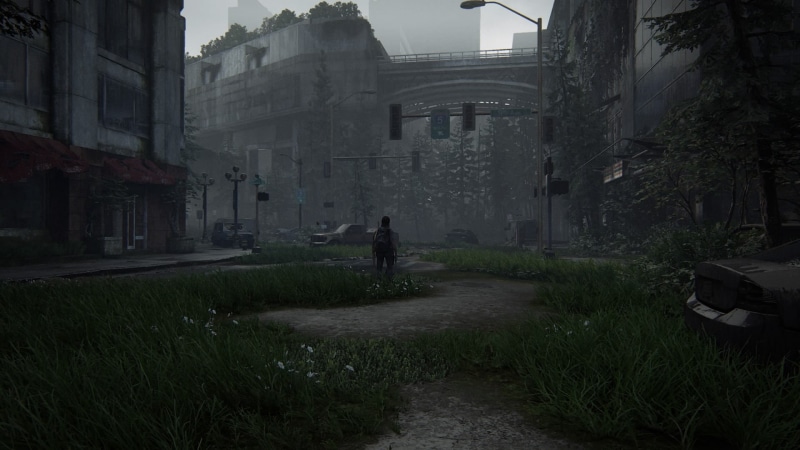 1080P, the last of us part II, PlayStation 4, The Last of Us 2, Ellie