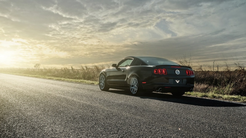 mode of transportation, Ford Mustang GT, mustang, 1080P, black, ford, land vehicle, journey, coupe, speed, plant, motion, sports car, cloud - sky, on the move