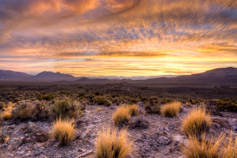 sandia Mountains, green grass, NM, hike, recreation, travel, albuquerque - New Mexico, Wilderness, conservation, mountains, outdoor, nature, sunset, rock art