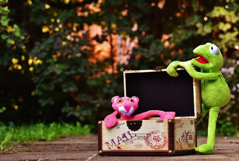 mammal, toy, day, close-up, holiday, no people, fun, figure, focus on foreground, green color, plant, suitcase fun, pink, outdoors, holding, funny, 5K