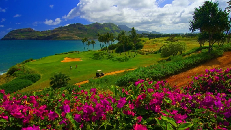 golf course, cloud - sky, tree, clouds, flower, sky, scenics - nature, landscape, palm trees, mountain, 1080P, flowers, no people, land, sand, trees, plant