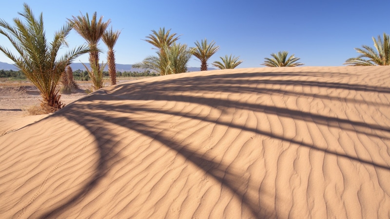 hills, landscape, nature, sand, shadow, dune, palm trees, 1080P, trees, desert
