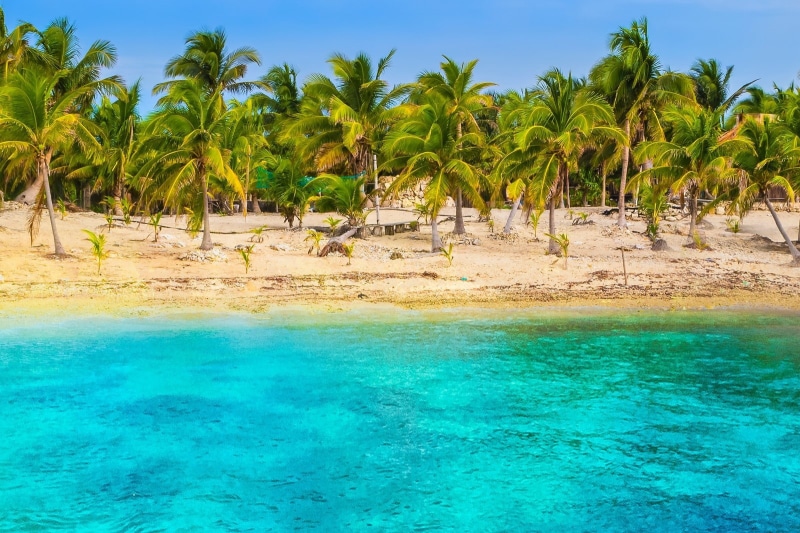 plant, no people, tropical climate, outdoors, land, idyllic, tropical tree, water, turquoise colored, landscape, turquoise, nature, sky, coconut palm tree