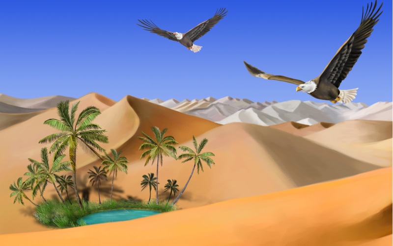 no People, land, bird, sky, travel Locations, day, spread wings, tropical Climate, sunlight, 2K, blue, tree, plant, animal wildlife, oasis, two, eagles