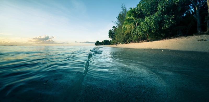landscape, morning, sand, palm trees, sea, waves, beach, trees, water, 1080P, nature