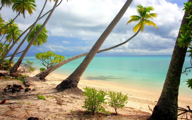 sea, plant, palm tree, French Polynesia, landscape, tranquil scene, water, shrubs, turquoise, horizon, outdoors, sky, beauty in nature, scenics - nature