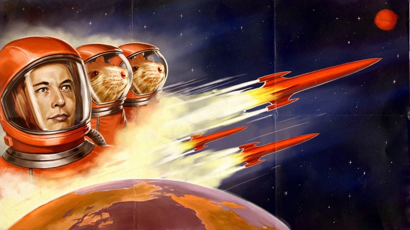 720P, space, mice, Elon Musk, astronaut
