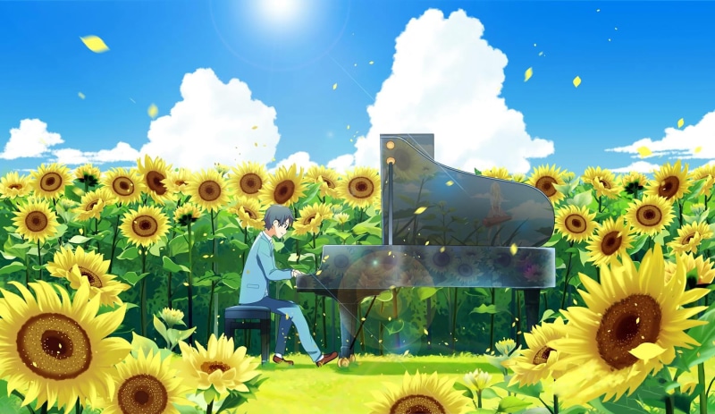 sky, plant, Shigatsu wa Kimi no Uso, flower head, field, succulent plant, no people, day, growth, flower, yellow, freshness, 720P, sunlight, flowering plant