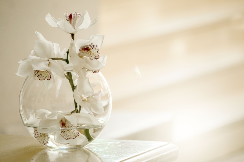 summer, blossom, retro, love, spring, porcelain, bouquet, white color, postcard, holiday, 5K, vintage, ceramics, freshness, greeting, flower, floral, flowers