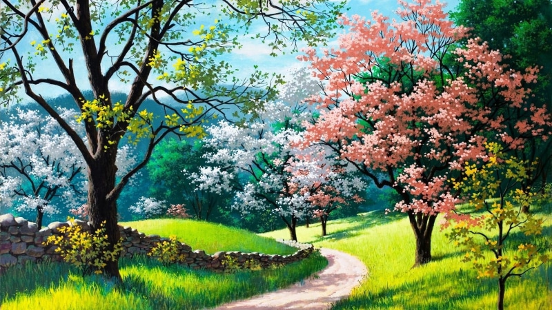 branch, blossom, plant, 1080P, flower, grass, life, cherry blossom, sky, nature, summer, spring, painting art, flora, field, tree, sunlight