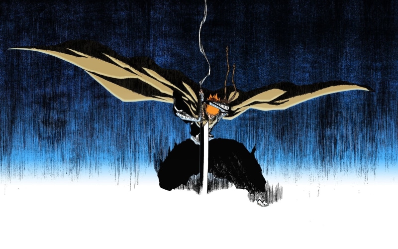 anime, Kurosaki Ichigo, animal themes, close-up, indoors, 720P, Bleach, animal wildlife, animal, nature, bird, creativity, day, sword, sky, blue, wall - building feature
