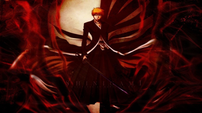 Bleach, women, young adult, plant, real people, nature, red, indoors, kurosaki, 720P, standing, event, digital, celebration, adult, dancing, ichigo, one person
