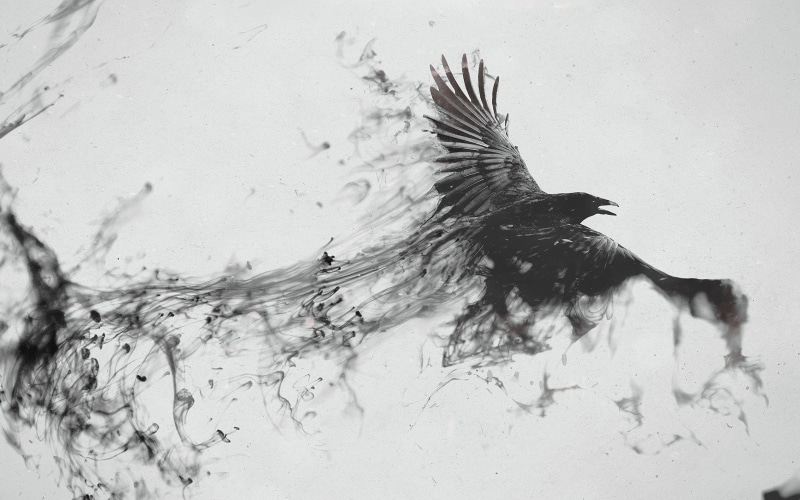 4K, bird, 4k pics, flying, smoke, raven, black white
