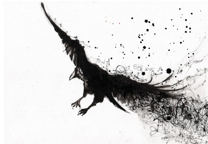 invertebrate, insect, vertebrate, monochrome, animal wildlife, indoors, close-up, bird, birds, animal body part, animals in the wild, sketch, day, zoology