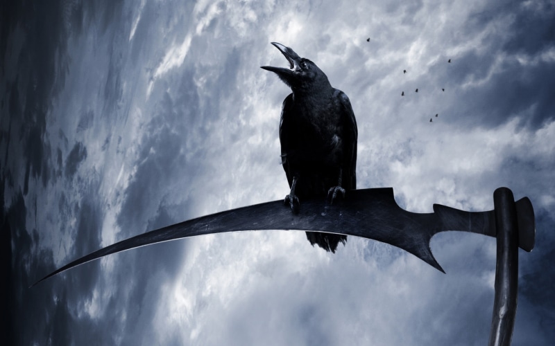 tree, outdoors, 2K, low angle view, perching, fantasy art, animals in the wild, silhouette, birds, animals, scythe, one animal, day, vertebrate, animal themes