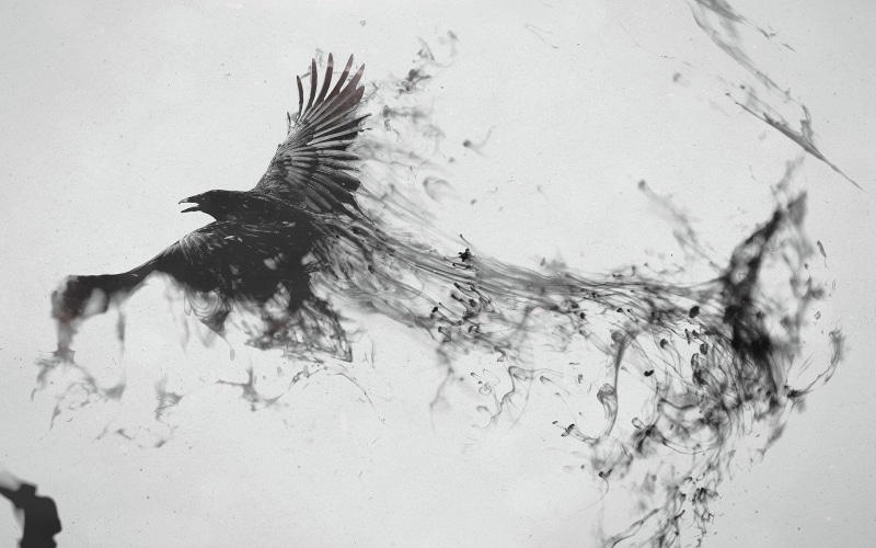 turning, 1080P, 1920x1200, black, digital art, bird, crow, smoke