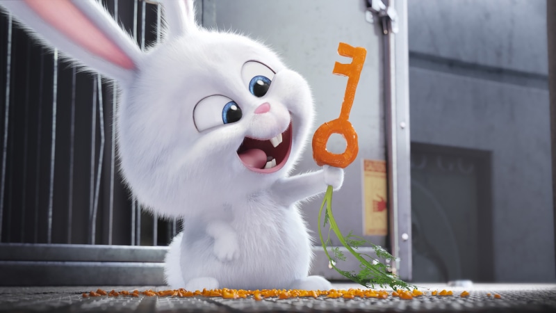 life, carrot, feline, mouth open, whisker, The Secret Life of Pets, focus on foreground, domestic cat, food and drink, close-up, mammal, animal themes