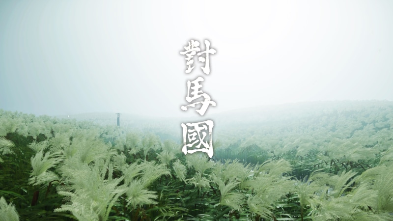 PlayStation 4, Ghost of Tsushima, field, 4K