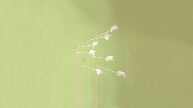 sky, low angle view, grass, Modest Mouse, sunlight, transportation, outdoors, flying, mode of transportation, Music, 2560x1440 px, mouse, mid-air, px, modest