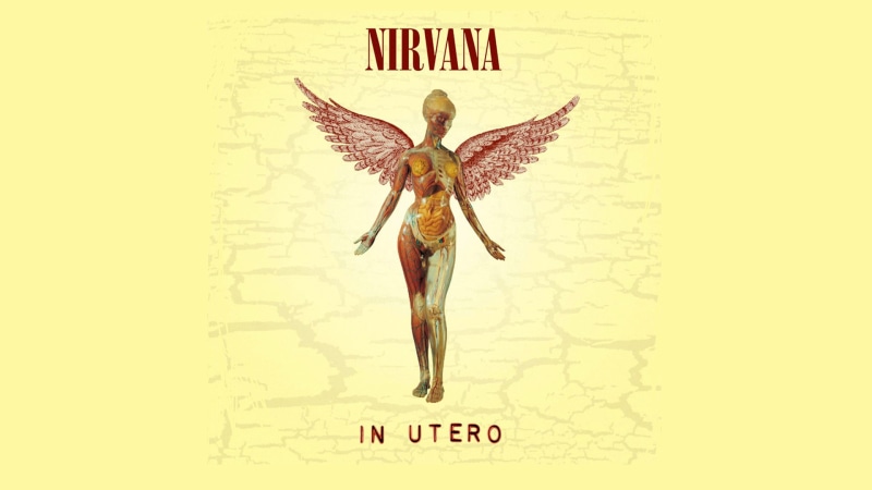 Album Cover, Nirvana, Anatomy, Woman, Angel, Band (Music), 1080P