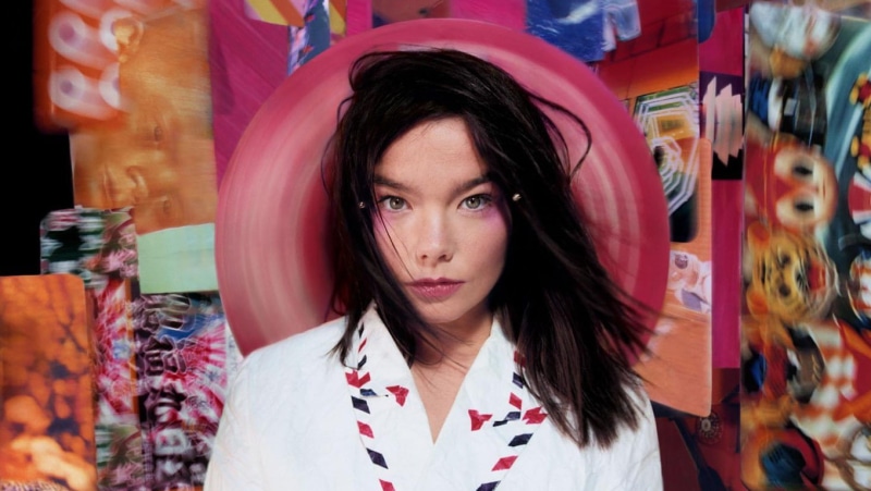 young women, real people, beautiful woman, indoors, Björk, store, retail, headshot, portrait, hairstyle, young adult, adult, consumerism, one person, looking at camera