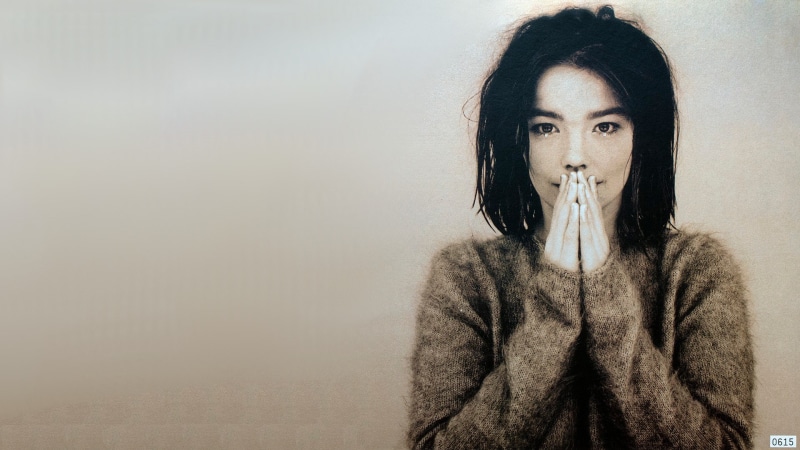 Björk, album covers, music, 1080P, women