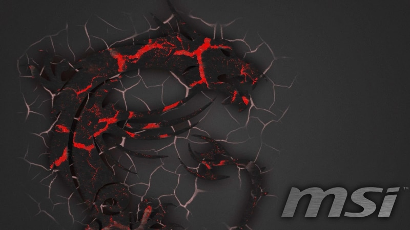 black background, 720P, communication, abstract, branch, text, outdoors, night, dragon, MSI, tree, flower, plant part, sky, plant, close-up, nature, red