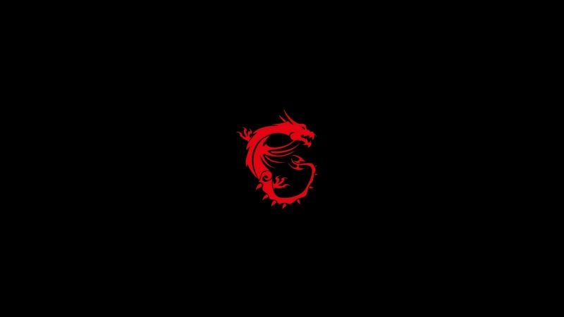 motion, one animal, nature, no people, illuminated, dragon, indoors, animals in the wild, black background, computer, hd, close-up, animal representation