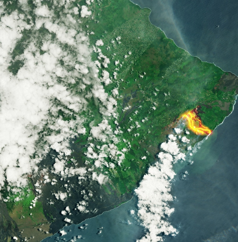 field, motion, eruption, swimming, Hawaii, volcanic eruption, outdoors, day, beauty in nature, 1080P, lava, animal wildlife, Kilauea, water, landscape