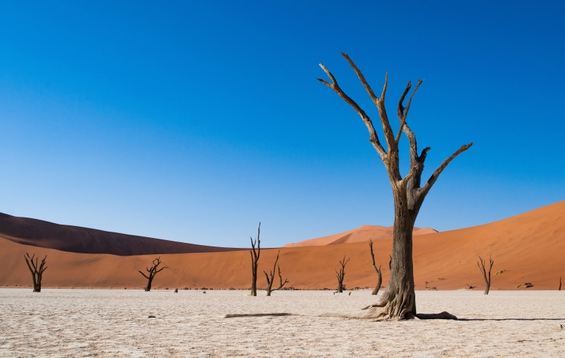 landscape, namib desert, sand, climate, outdoors, dune, savanna, scenery, desert, nature, barn, slope, brown, scenics - nature, weather, sand dune, clear sky