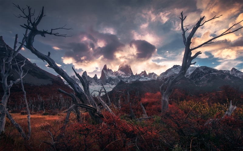 bare tree, landscape, nature, branch, dead trees, scenics - nature, far view, plant, beauty in nature, tree, land, sunset, no people, dead plant, tranquility