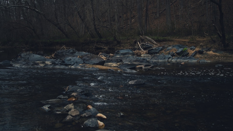 dark, rock, no people, solid, land, stream - flowing water, flowing water, day, wood, forest, flowing, water, rocks, woodland, tranquil scene, plant, dead plant
