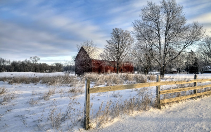 covering, tranquil scene, plant, house, 2K, white, dead plant, land, white color, brown, tranquility, landscape, outdoors, tree, winter, cold temperature
