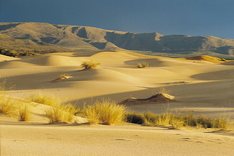 South Africa, nature, africa, daytime, desert, sand, dry, Northern  Cape, sand  desert, landscape, African, Witsand, 2K, Tourism, sand Dune, Tourists