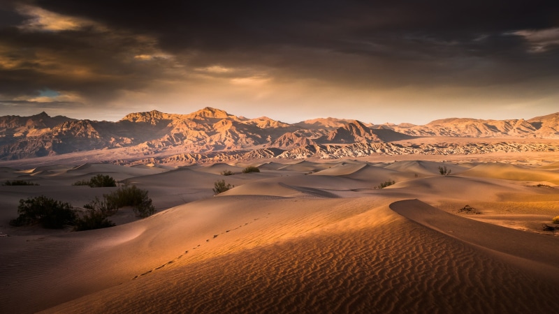 california, singing sand, sand dune, outdoors, sunlight, cold temperature, scenics - nature, death valley national park, tranquility, wilderness, travel