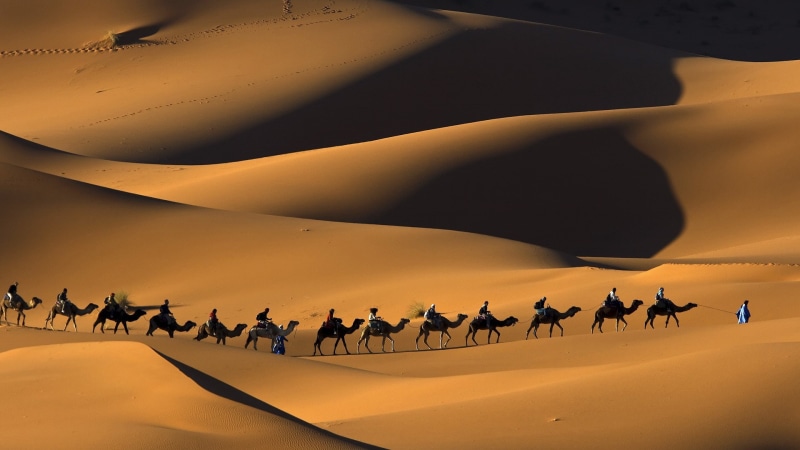 hd, 1080P, x, morocco, deserts, nature, art, camels, sahara, desert