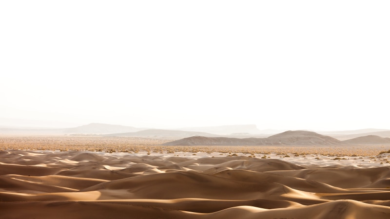 Mesquite, dry, USA, Death Valley National Park, sunrise, desert  sand, California, Google, nature, desert, photography, United States of America, 5K, clear