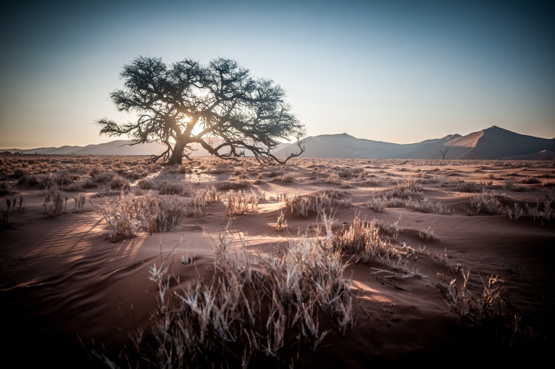 sunrise, holiday, sand, travel, africa, sand dune, outdoors, sandy, landscape, sossusvlei, cold temperature, winter, light - natural phenomenon, no people
