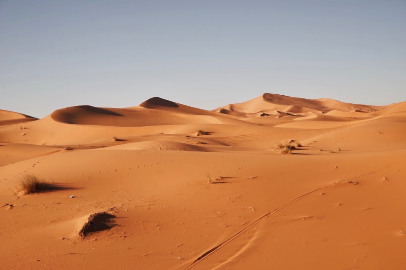 scenics - nature, sand Dune, extreme Terrain, egypt, hot, 5K, sand, dry, morocco, plants, arid Climate, travel destinations, blue skies, beauty in nature