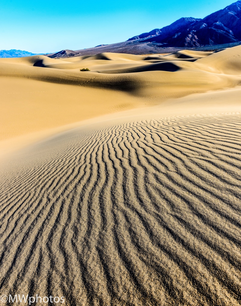outdoors, sky, selective, no People, Mesquite, sand, texture, nature, 4K, wilderness Area, selective focus, outdoor, death valley national park, mountain
